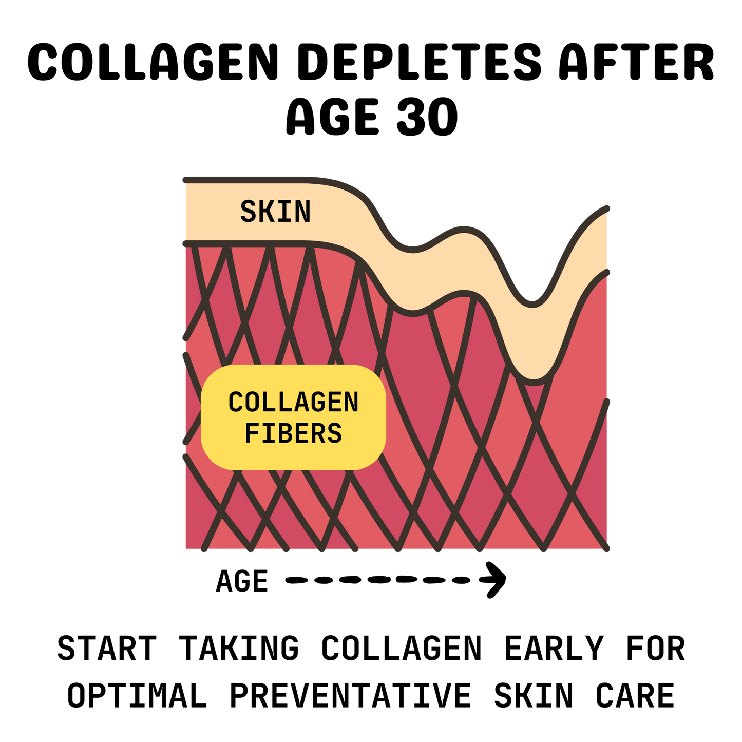 COLLAGEN POWDER